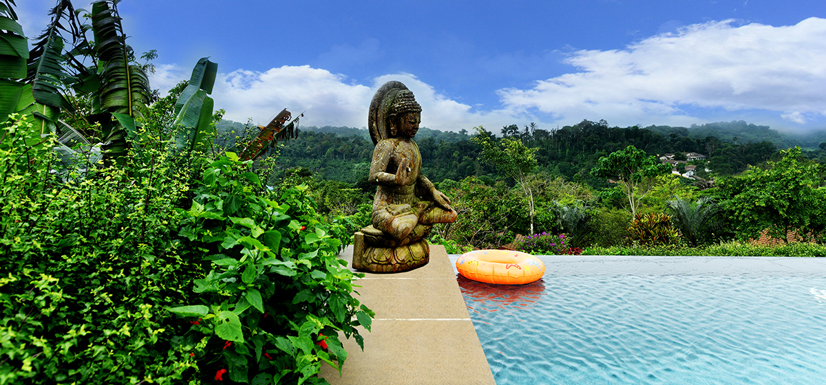 Best 4 Star Hotels in Coorg & Madikeri: Why Indo Asia Heritage Should Be on Your List