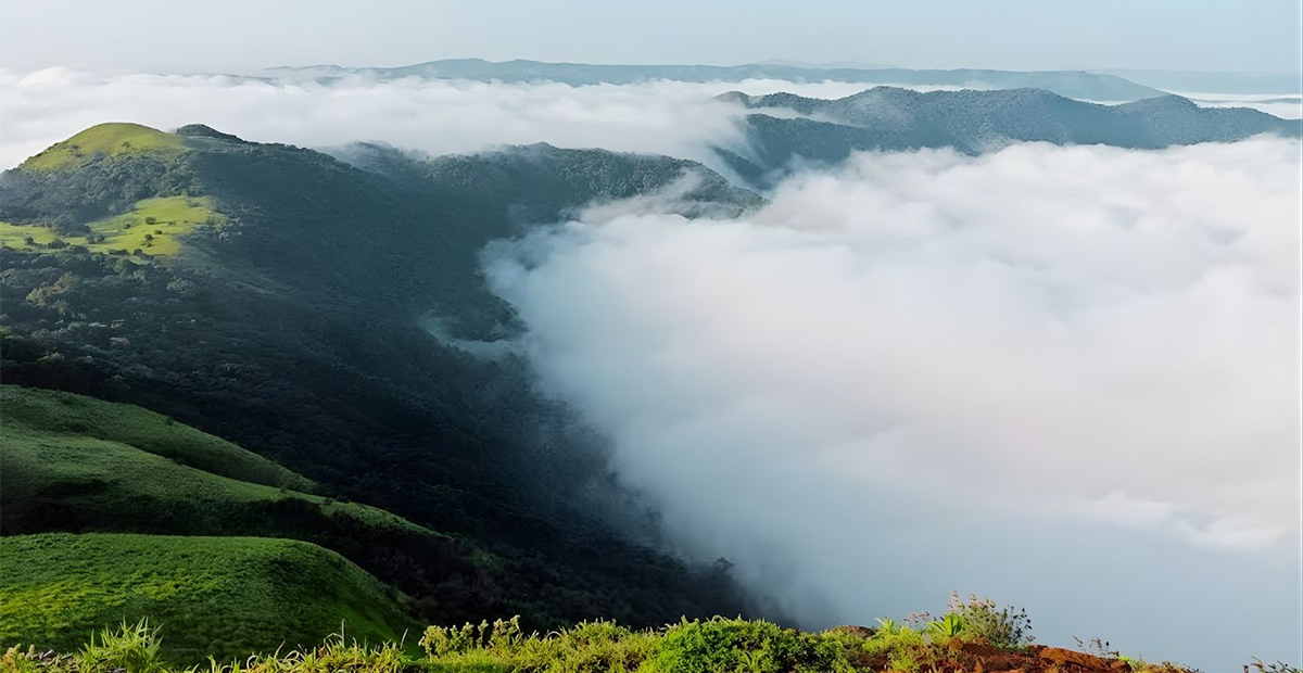 Jeep Ride to Mandalpatti Peak in Coorg: Distances, Route and a Realistic Timeline