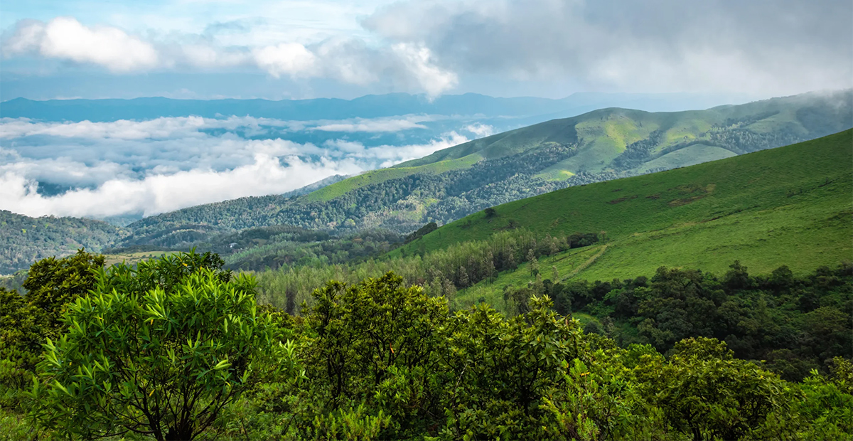 Jeep Ride to Mandalpatti Peak in Coorg: Distances, Route and a Realistic Timeline