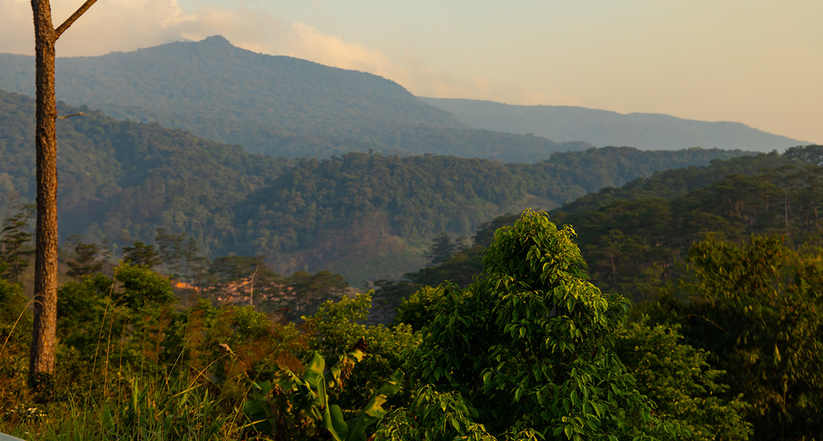 Nishani Motte Trek in Coorg: Complete Guide to the Wild Heart of Kodagu