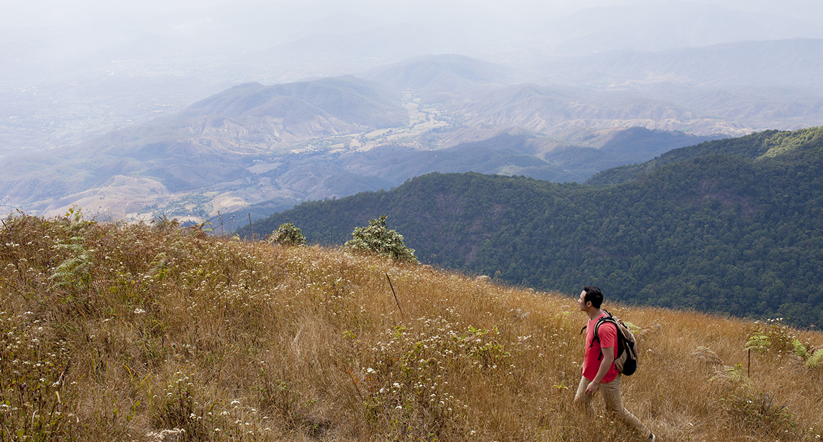 Nishani Motte Trek in Coorg: Complete Guide to the Wild Heart of Kodagu