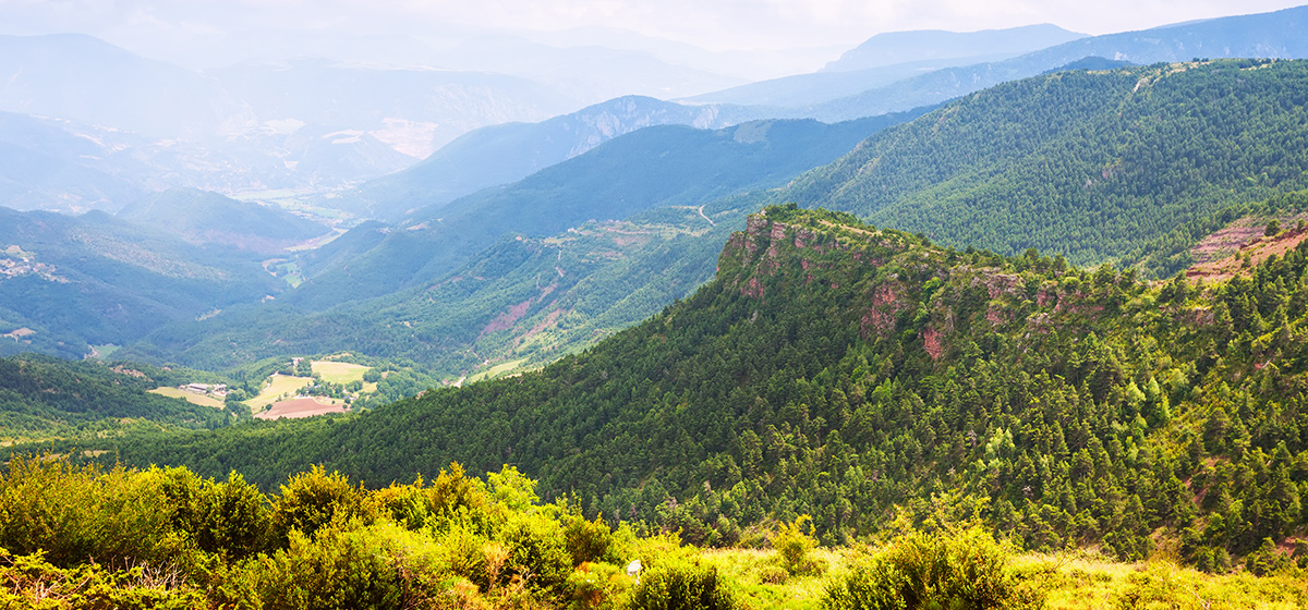 Nishani Motte Trek in Coorg: Complete Guide to the Wild Heart of Kodagu
