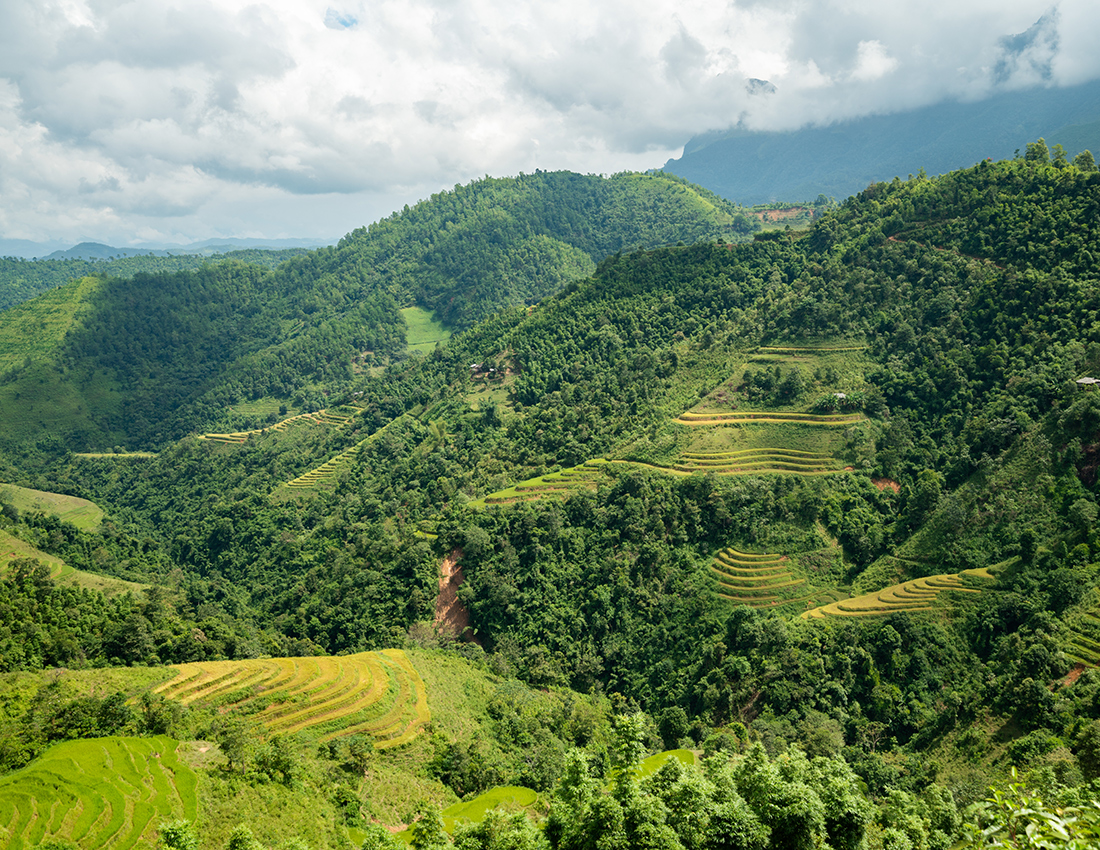 THE WESTERN GHATS WANDER