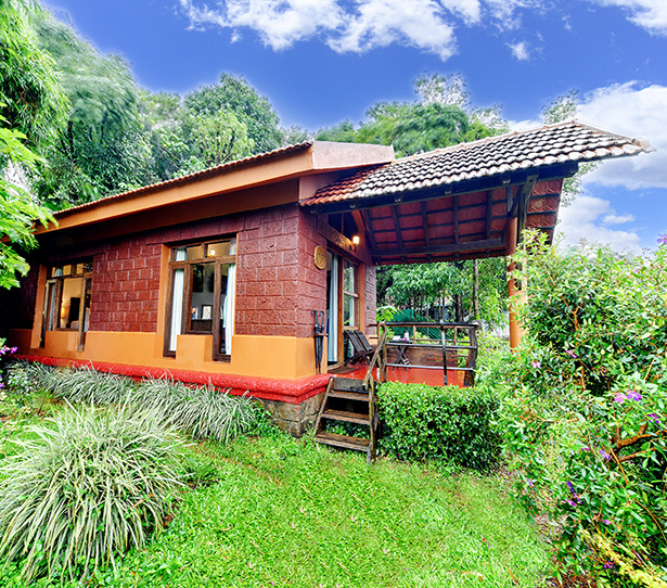 Suite Cottage