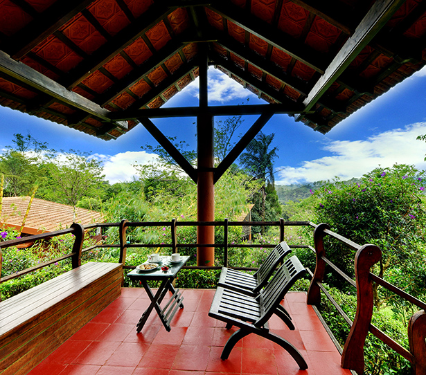Suite Cottage