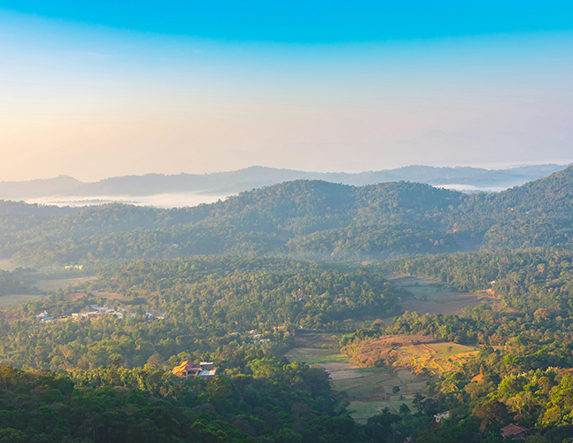 The Misty Coorg Escape